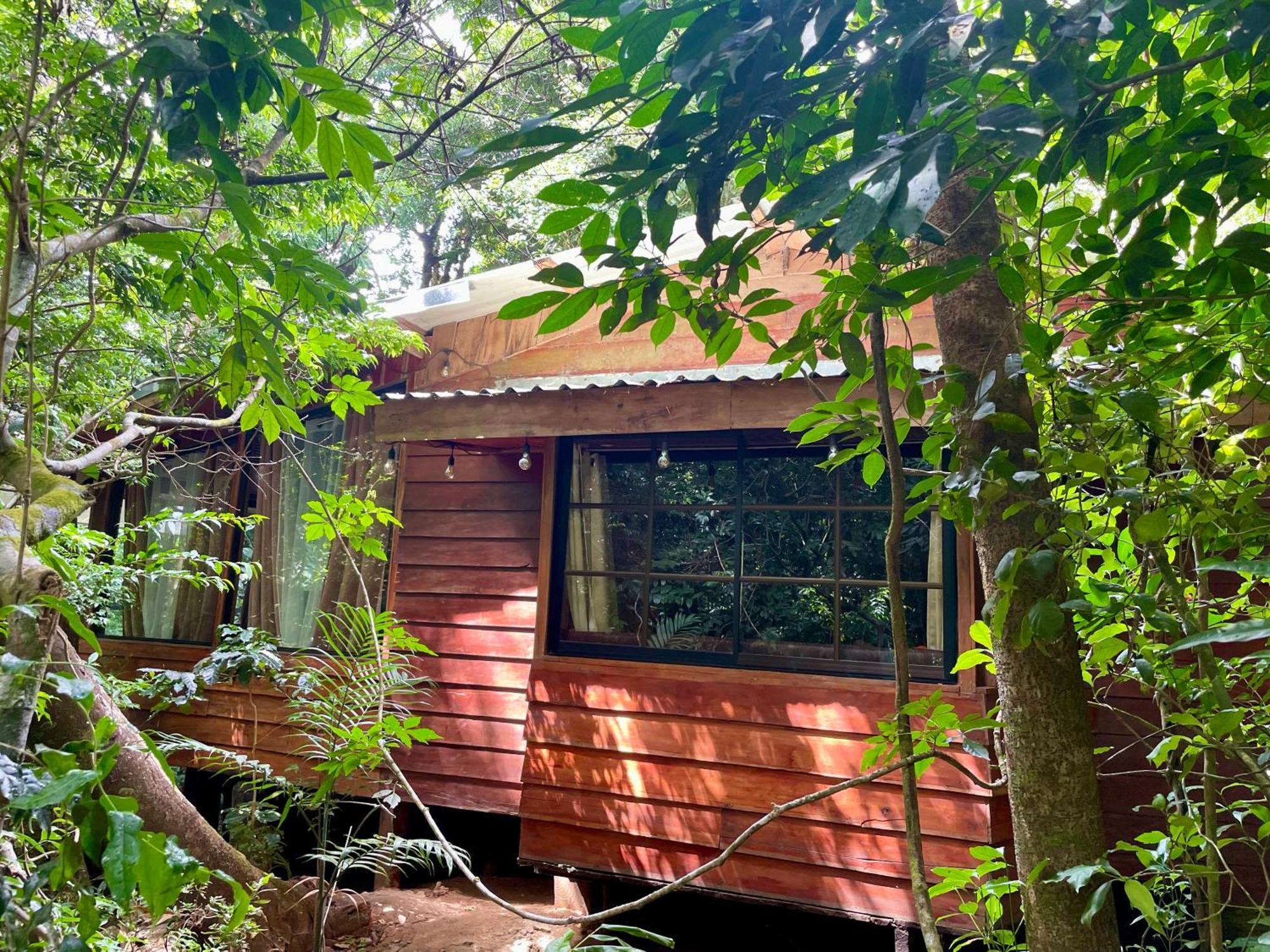 Cabanas La Montana Monteverde Exterior foto
